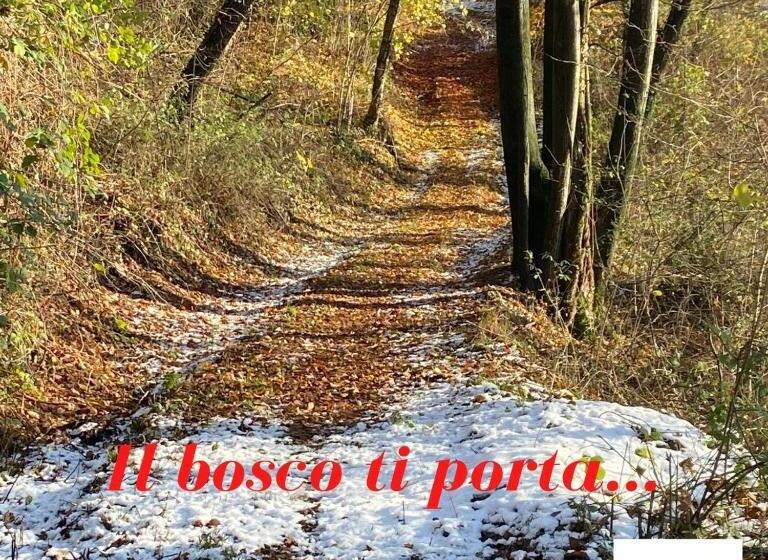 Bed and Breakfast Suxen Nature Experience   Lodge Con Vista Panoramica