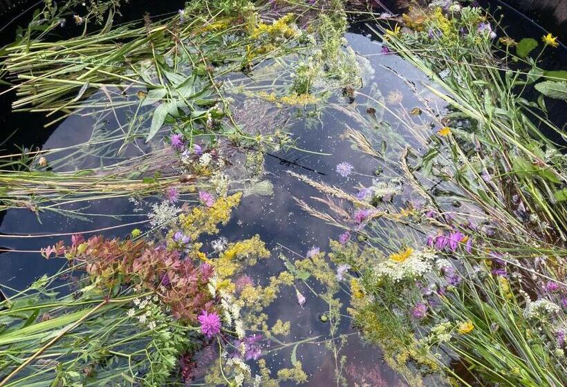 민박 Suxen Nature Experience Lodge Con Vista Panoramica