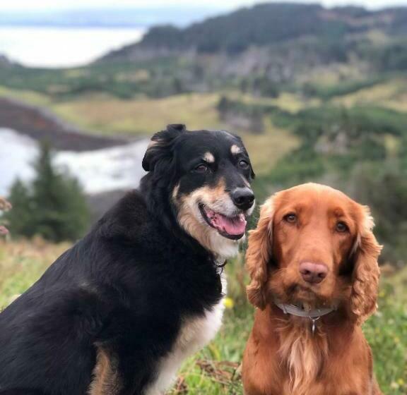 Bed and Breakfast Trumpan Cottage