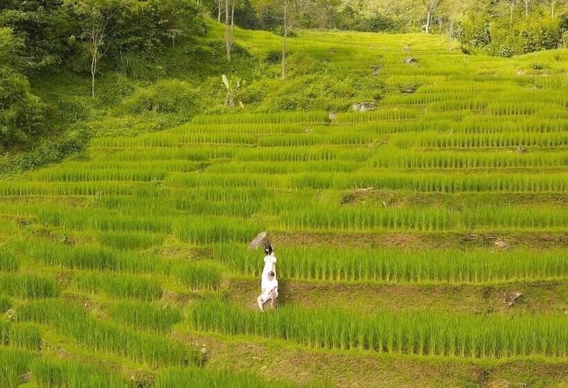 هتل Central Hills Puluong Resort