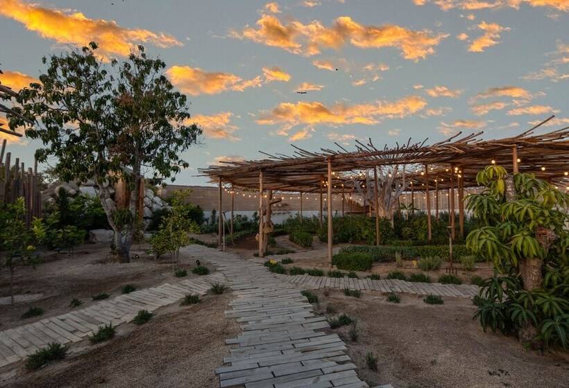 فندق El Perdido Desert Dream