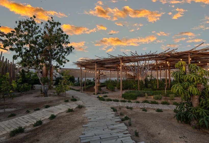 فندق El Perdido Desert Dream