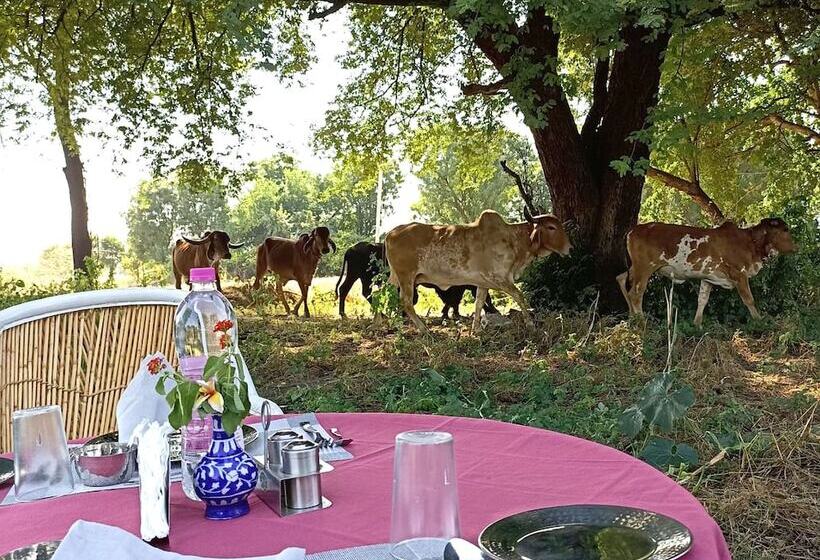 Hotel Fort Chabariya