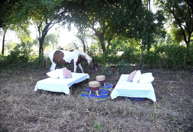 Hotel Fort Chabariya