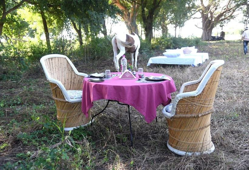 Hotel Fort Chabariya