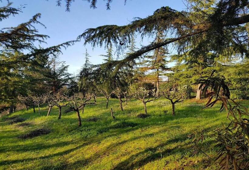 酒店 Girasole Ad Antico Casale  700