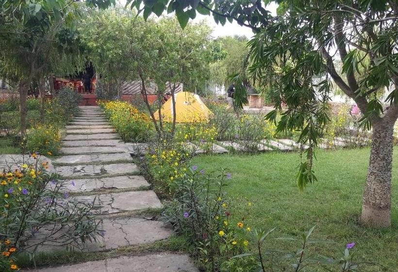 Отель Macarela Inn