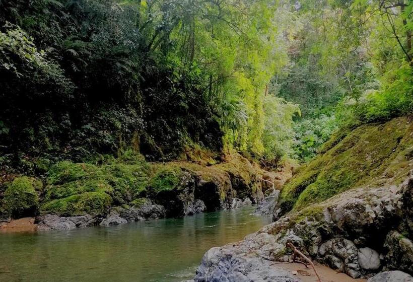 فندق Mira Olas Cabins