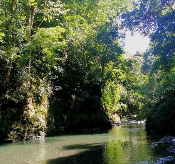 فندق Mira Olas Cabins