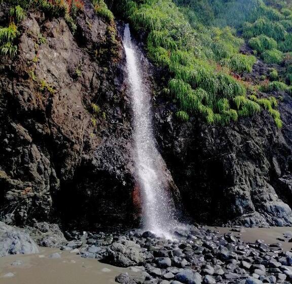 فندق Mira Olas Cabins