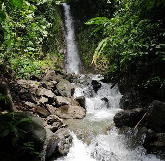 فندق Mira Olas Cabins