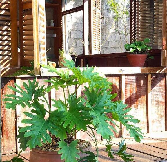 هتل Thênh Thang Home & Cafe