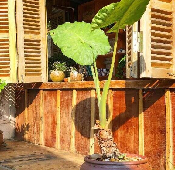 هتل Thênh Thang Home & Cafe