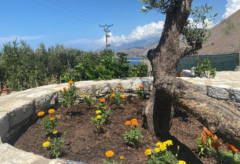 Отель Vila D Boutique