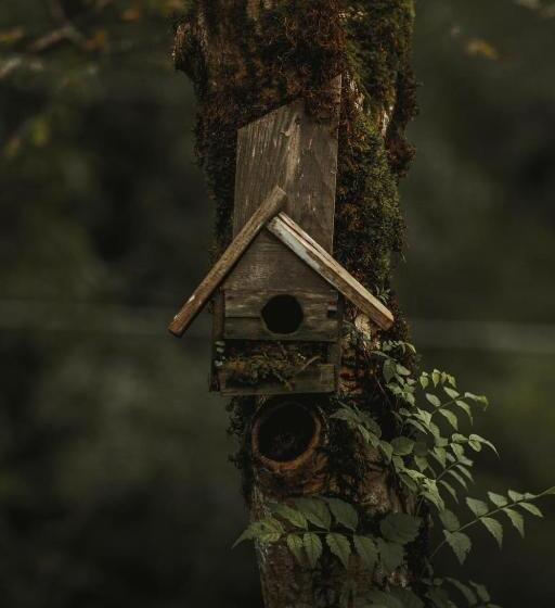 هتل Park Resort Mtirala National Park