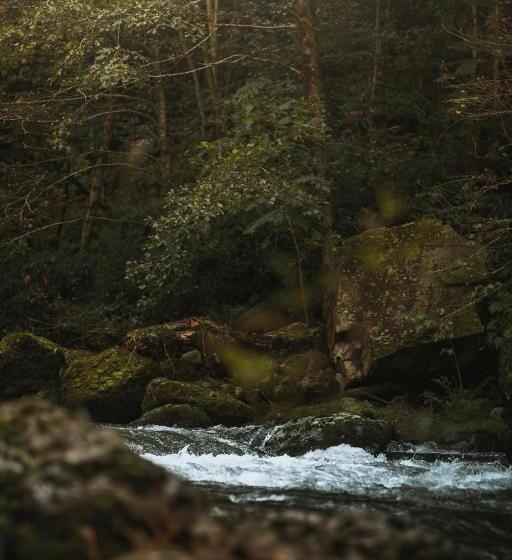 هتل Park Resort Mtirala National Park