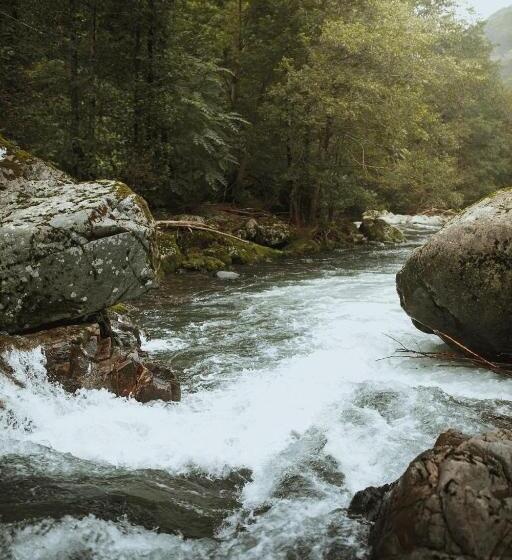 هتل Park Resort Mtirala National Park