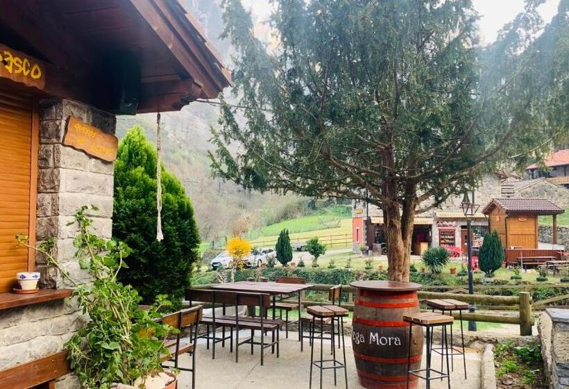 ペンション Casa Cuevas