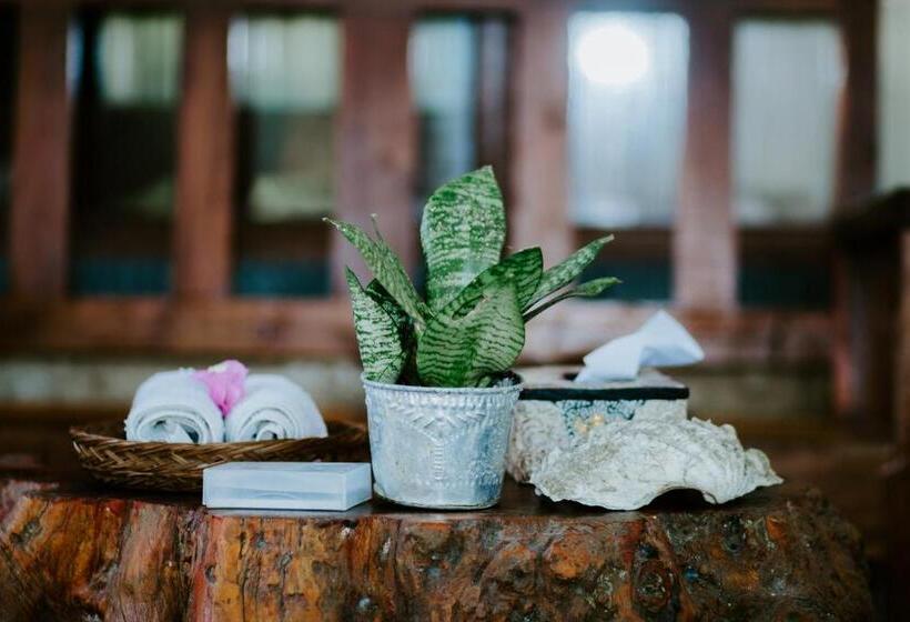 פנסיון Kurnia Guest House & Spa