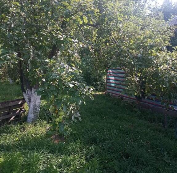 پانسیون Satina Jenish