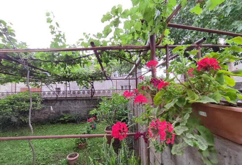 پانسیون Aloni Green Acres