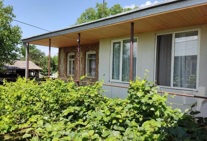 پانسیون Aloni Green Acres