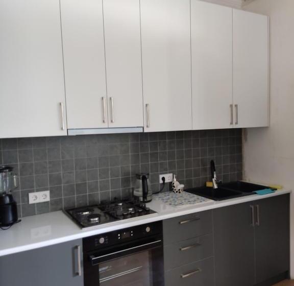 پانسیون Aloni Green Acres