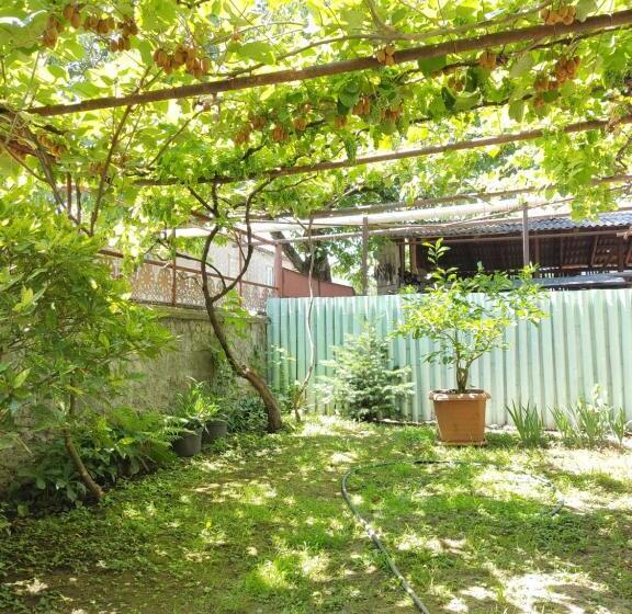 پانسیون Aloni Green Acres