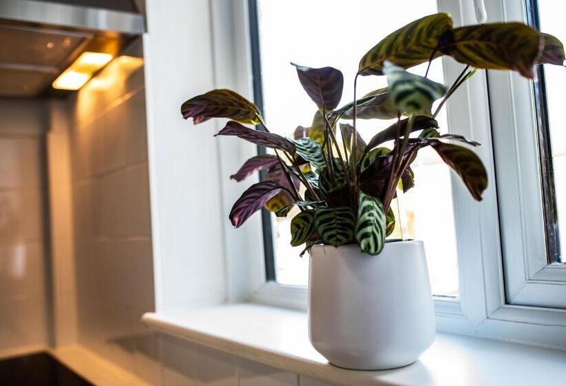 פנסיון Town House Chantry   With Self Check In And Free Parking   Rooms At Ipswichdigs