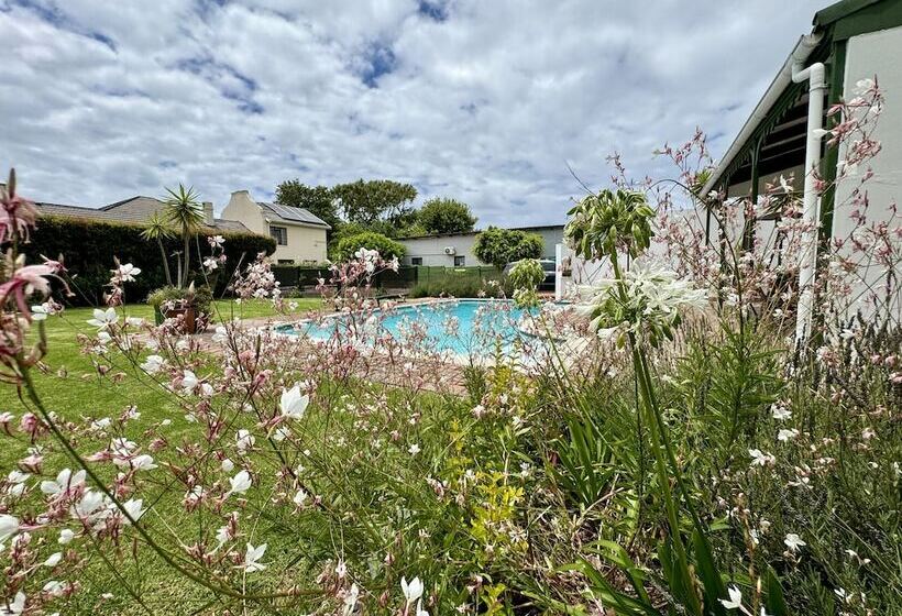 ペンション Whistlewood Guesthouse Walmer, Port Eizabeth
