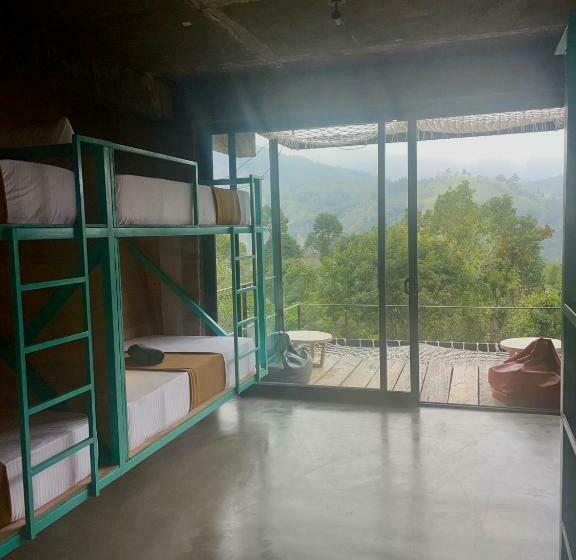 Wild Bee Hostel