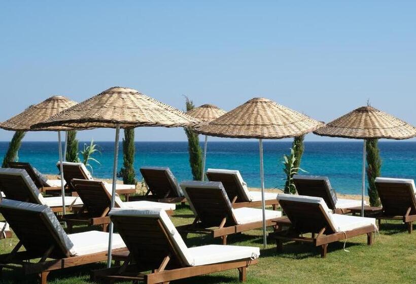 Zaya çeşme Hotel & Beach