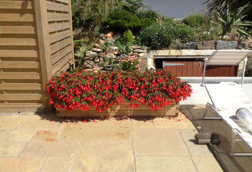 住宿加早餐  Blue Horizon