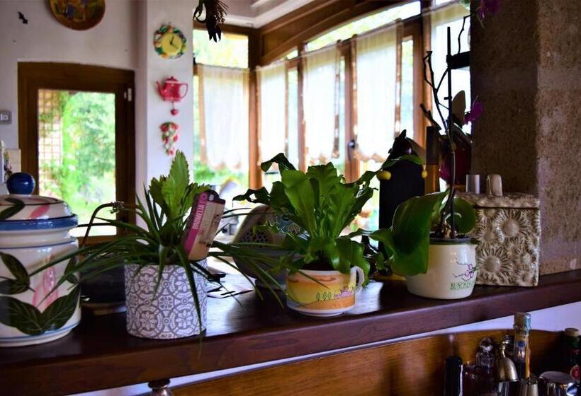 تختخواب و صبحانه Il Casale Del Sogno