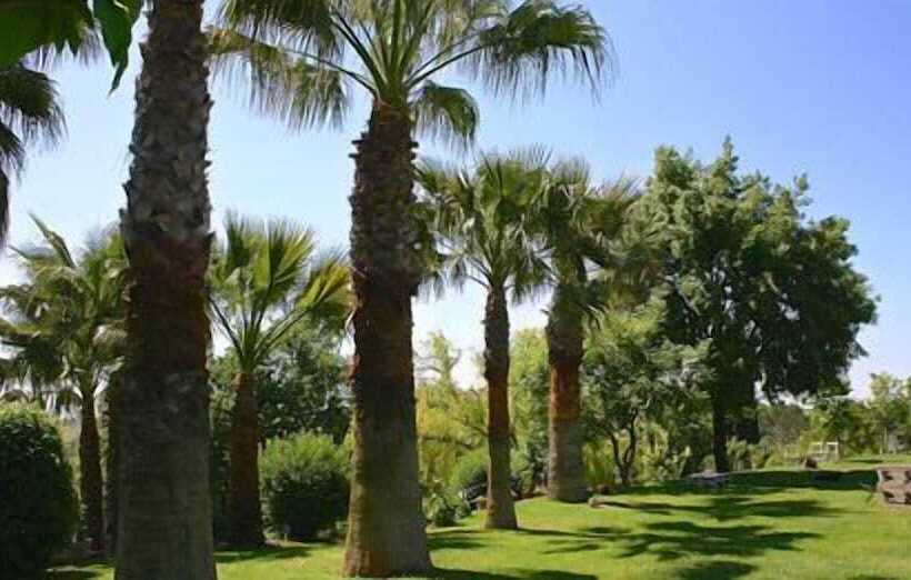 تختخواب و صبحانه Il Casale Del Sogno