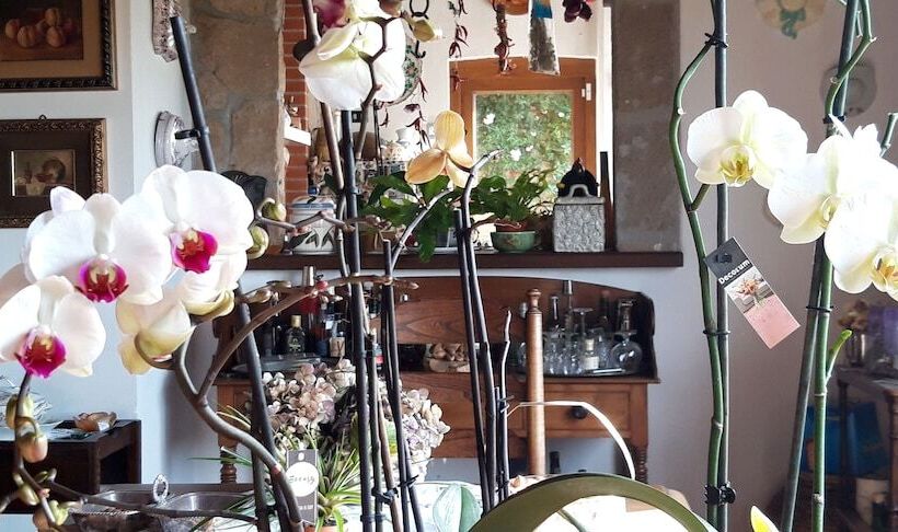 تختخواب و صبحانه Il Casale Del Sogno