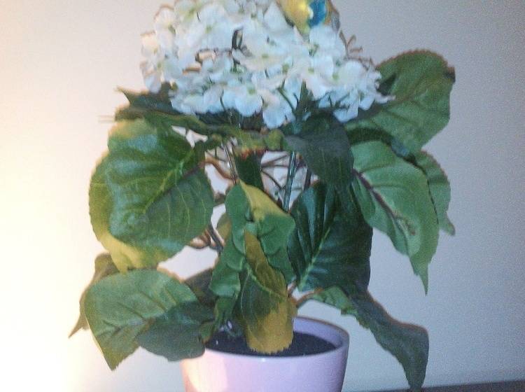 هتل Alexandria Vnukovo