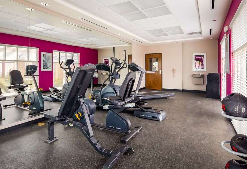 فندق Best Western Plus Dilley Inn & Suites