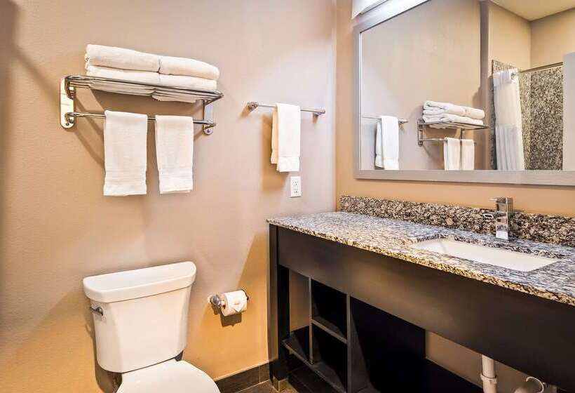 فندق Best Western Plus Dilley Inn & Suites