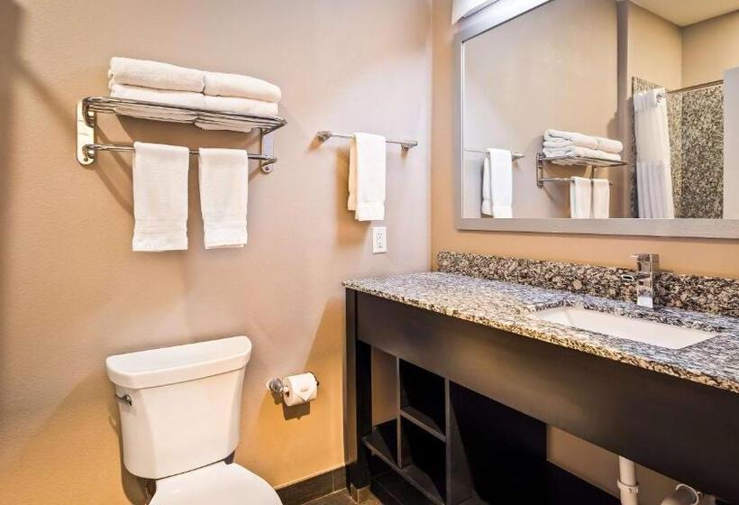 فندق Best Western Plus Dilley Inn & Suites