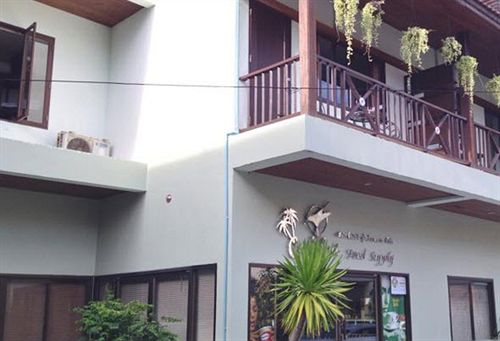 호텔 Colibri Guesthouse