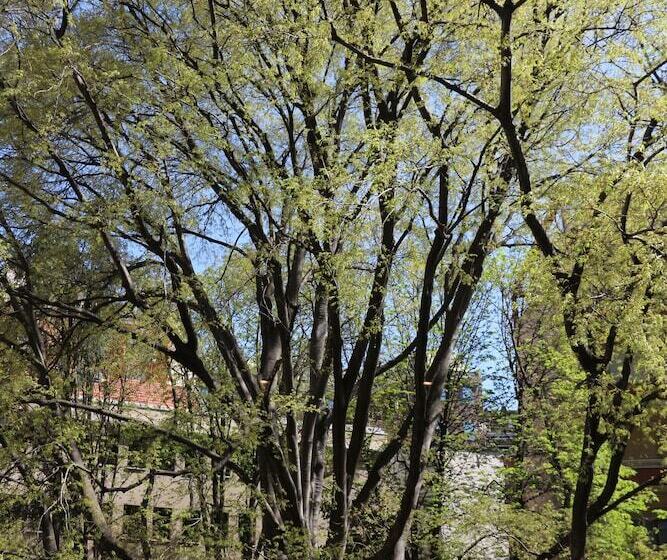 酒店 Corso Italia Rooms