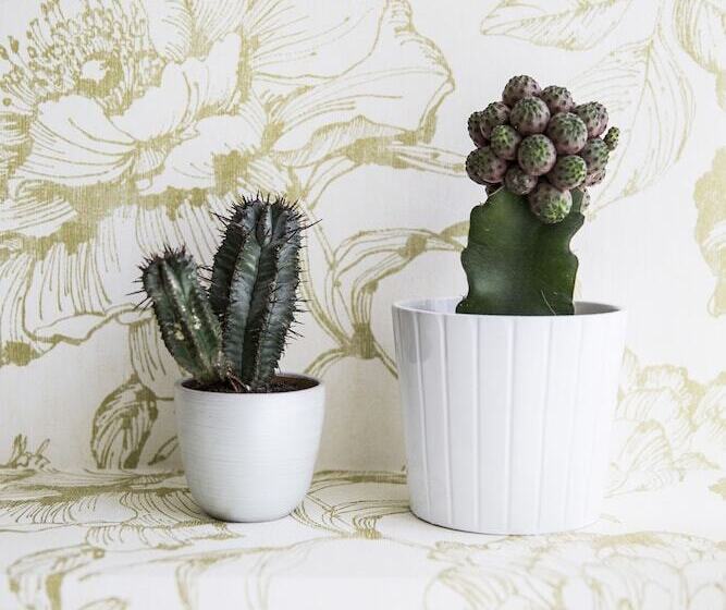 酒店 Corso Italia Rooms