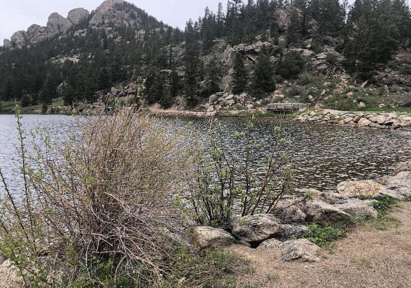 Отель Dao House