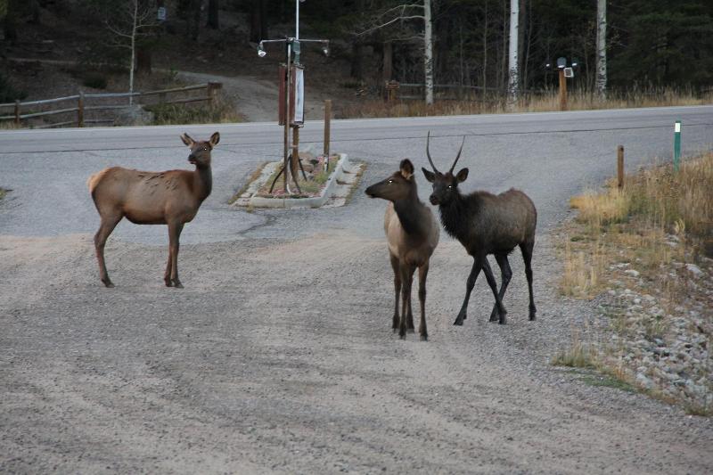 Отель Dao House