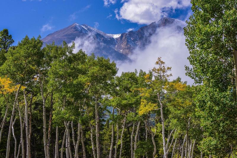 Отель Dao House