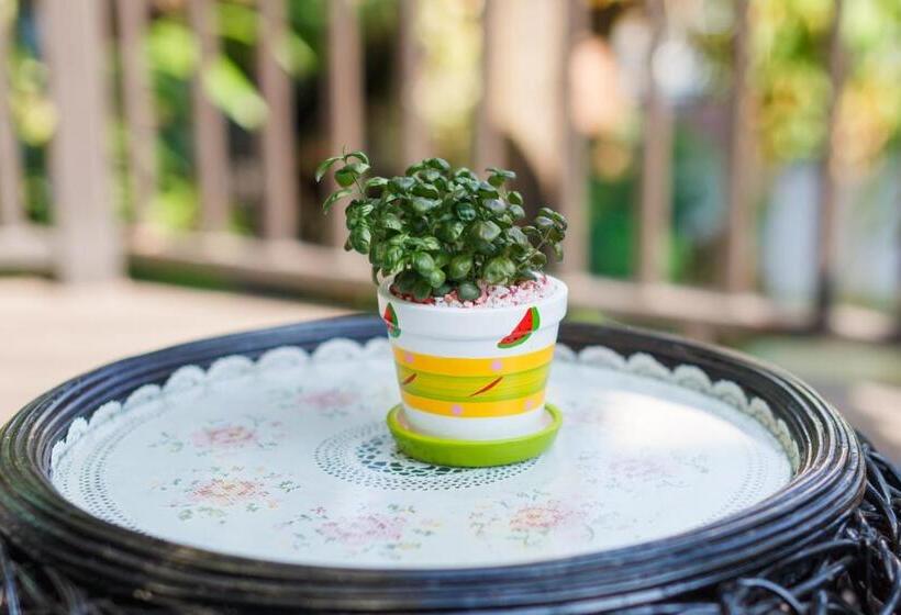 Отель Diamond Park Inn Chiangrai & Resort