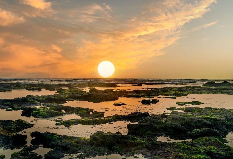 酒店 Dwarikadish Lords Eco Inn Dwarika