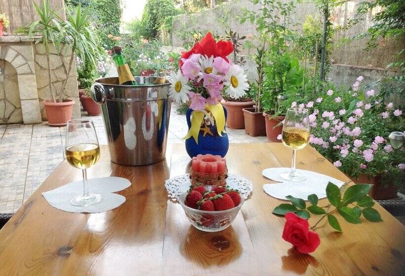 בית מלון כפרי Giota