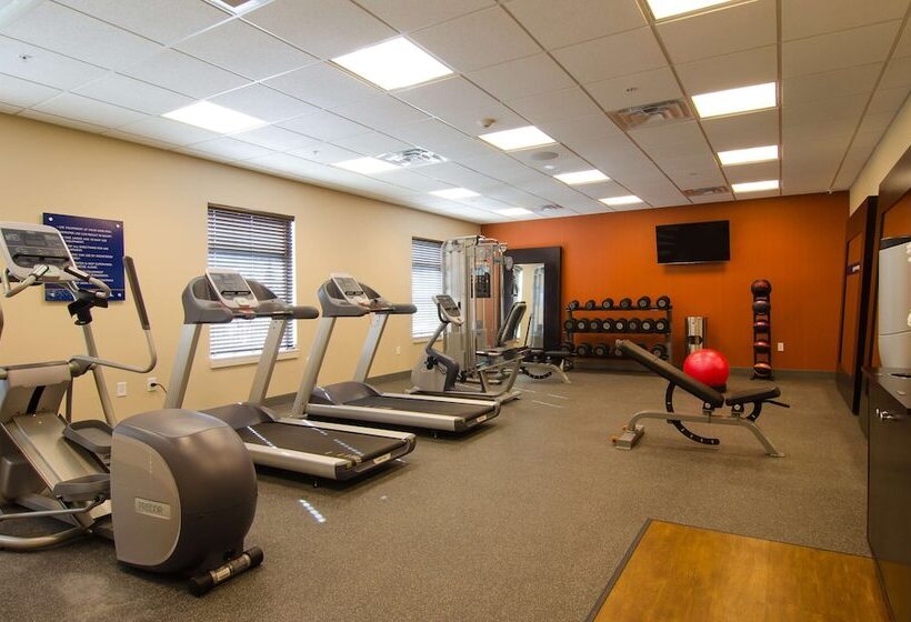 בית מלון כפרי Hampton Inn & Suites Huntsville